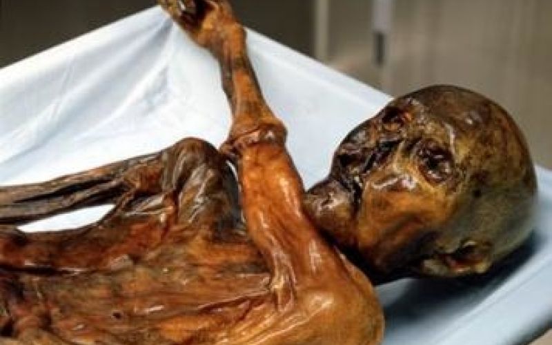 Ötzi Wikipedia.jpg