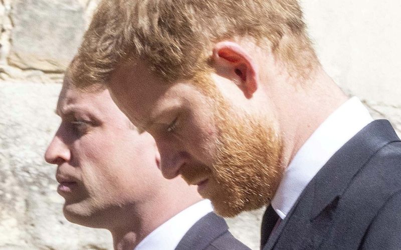 princ william, princ harry