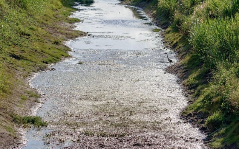 kanal,