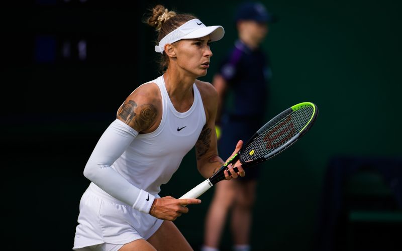 hercog