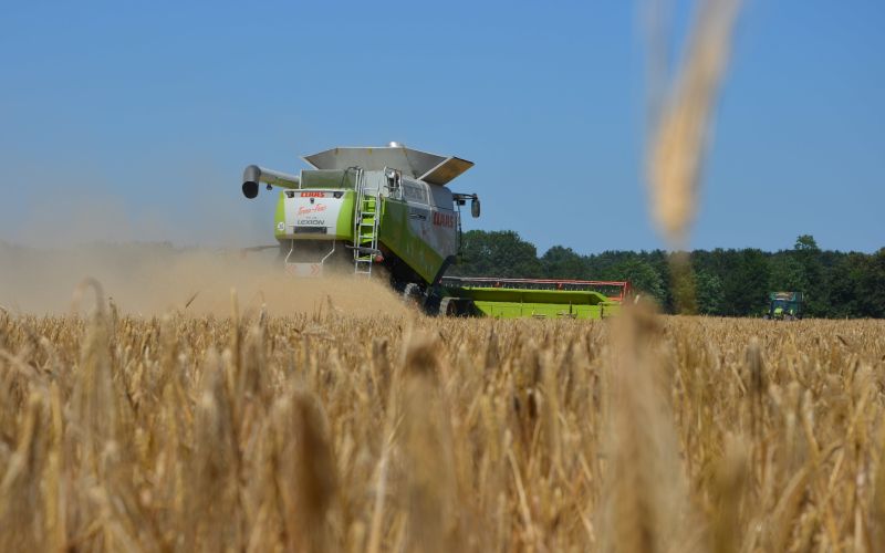 žetev, kombajn, traktor, njive, kmetijstvo, pšenica