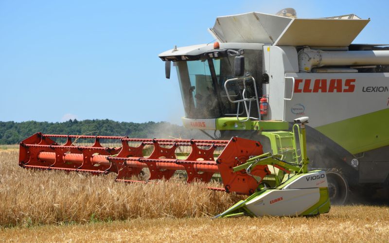 žetev, kombajn, traktor, njive, kmetijstvo, pšenica
