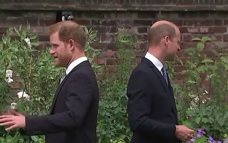 princ william, princ harry