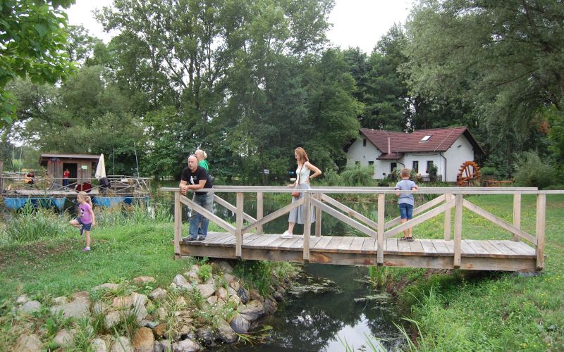 hotiza, hotiški-dnevi, ribe