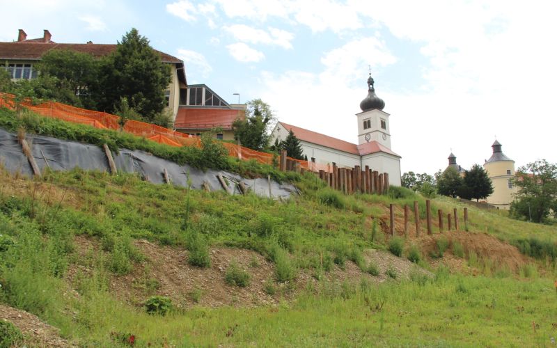 Plaz Velika Nedelja, šola