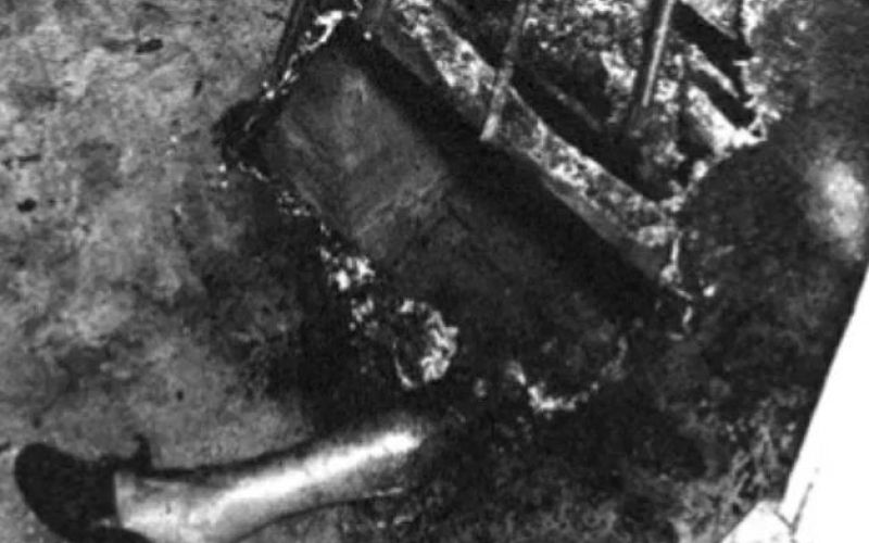 Zoglenela noga dr Bentleya paranormalguide com.JPG