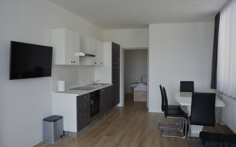 apartmaji-kisilak, čebelji-gradič, serdica, andrej-kisilak