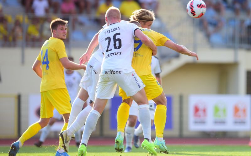domzale-honka.JPG
