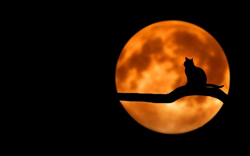 Luna Pixabay.jpg