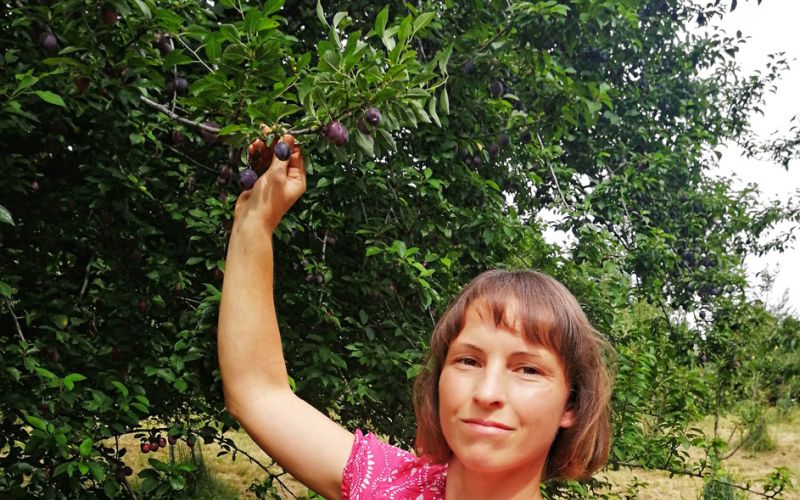 domace iz narave portret Pravi.jpg