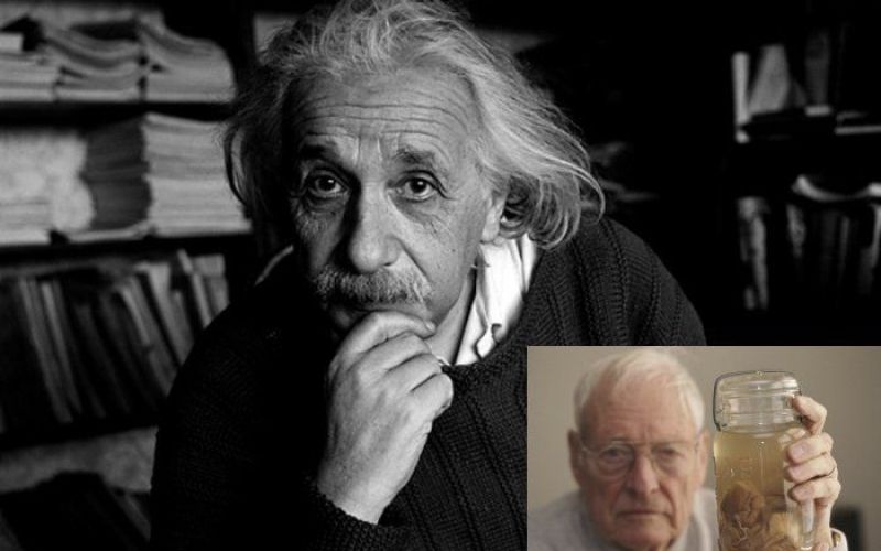 Einstein - Thomas Harvey.jpg