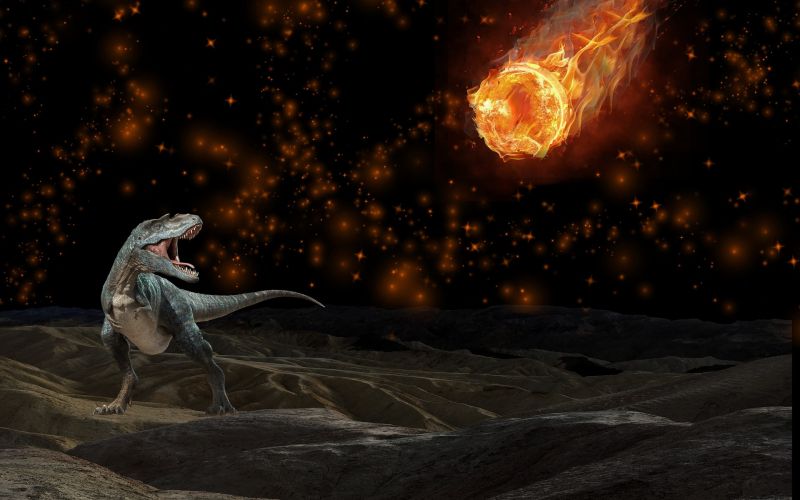 dino Pixabay.jpg