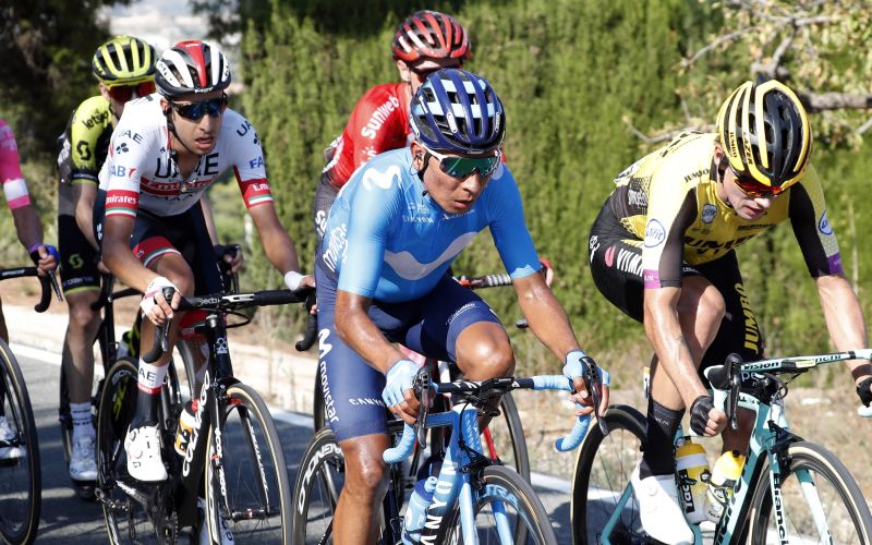 roglic .jpg