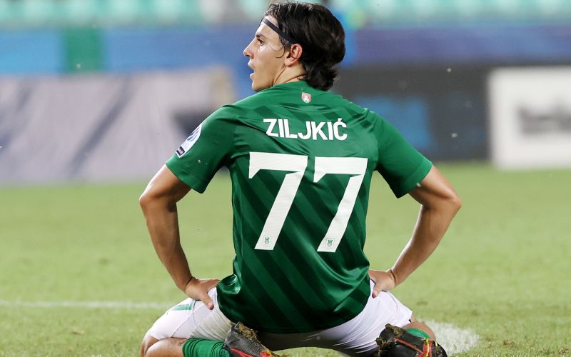 ziljkic.JPG