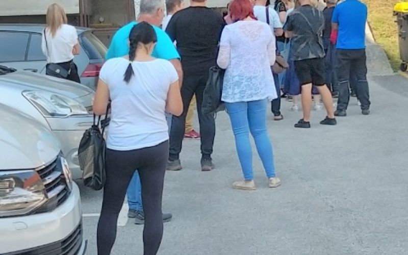 Čakalna vrsta