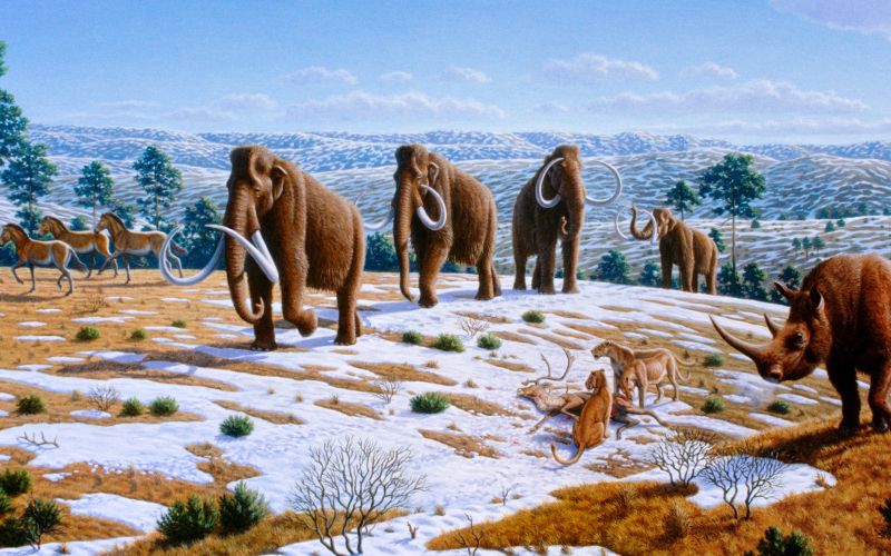 Ice_age_fauna_of_northern_Spain_-_Mauricio_Antón Wikipedia.jpg