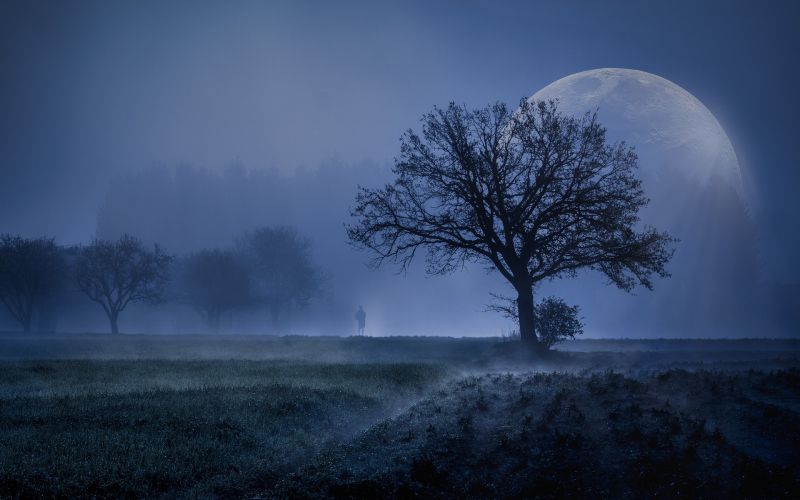 super-moon-5040211_1920.jpg