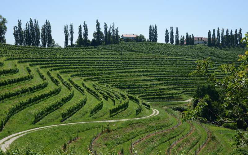 Jeruzalem, Gorice