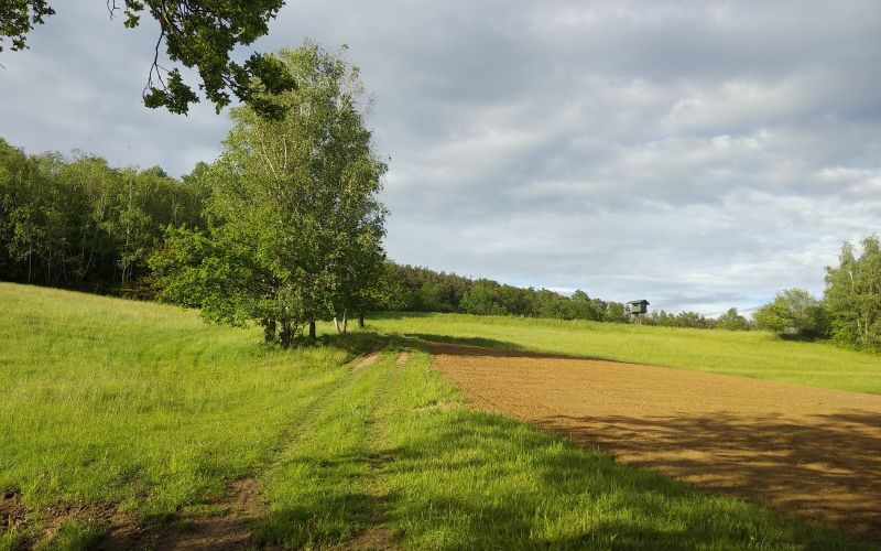 pot-cvetočih-travnikov, bejčin-breg, gorička-krajina