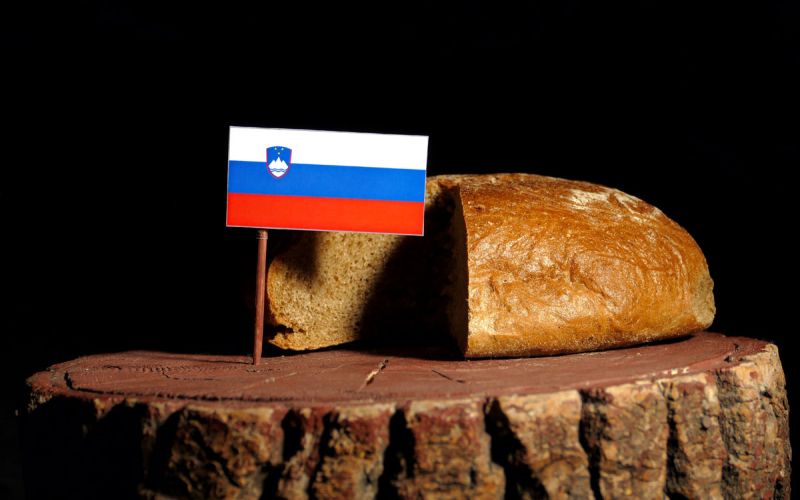 uvodnik.jpg