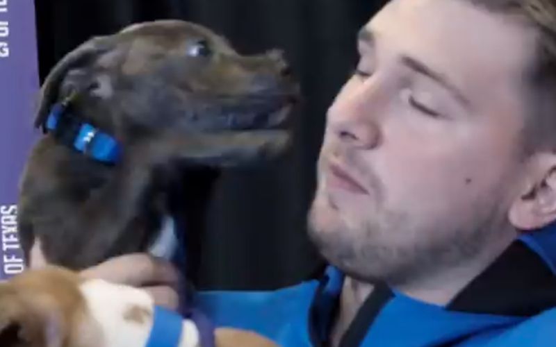 doncic kuzki.png