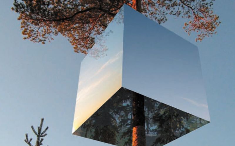 treehotel 4