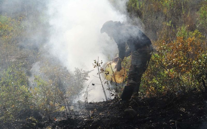 požar, latakia, oktober 2020.jpg