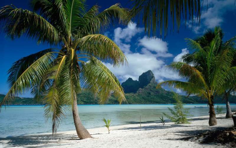 tahiti.jpg