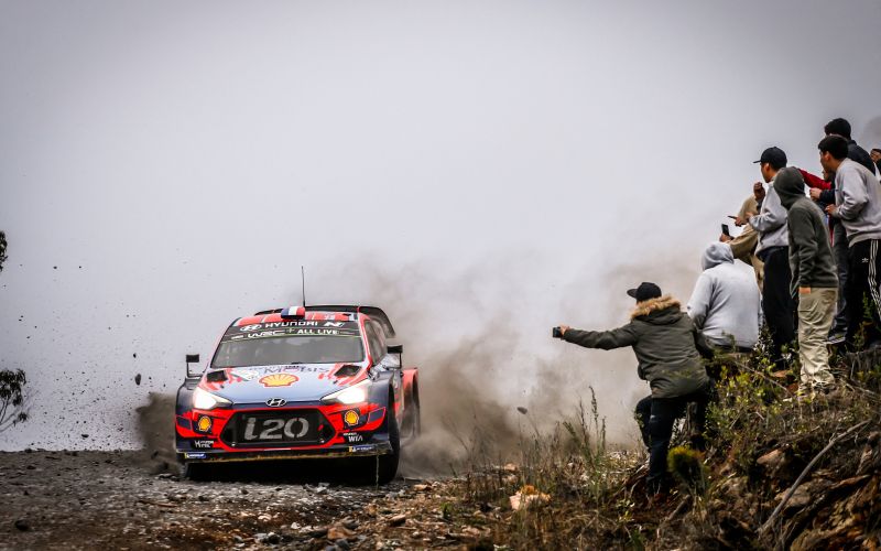 loeb.jpg