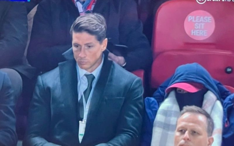 fernando torres.jpg