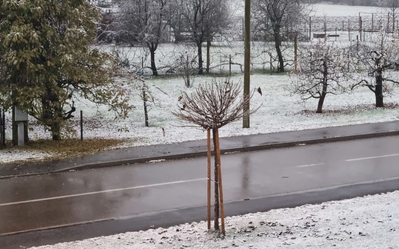 sneg, padavine. Prvi sneg tudi v Pomurju.