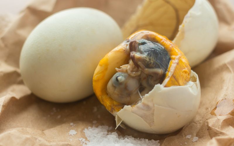 balut, jajce, račje-jajce