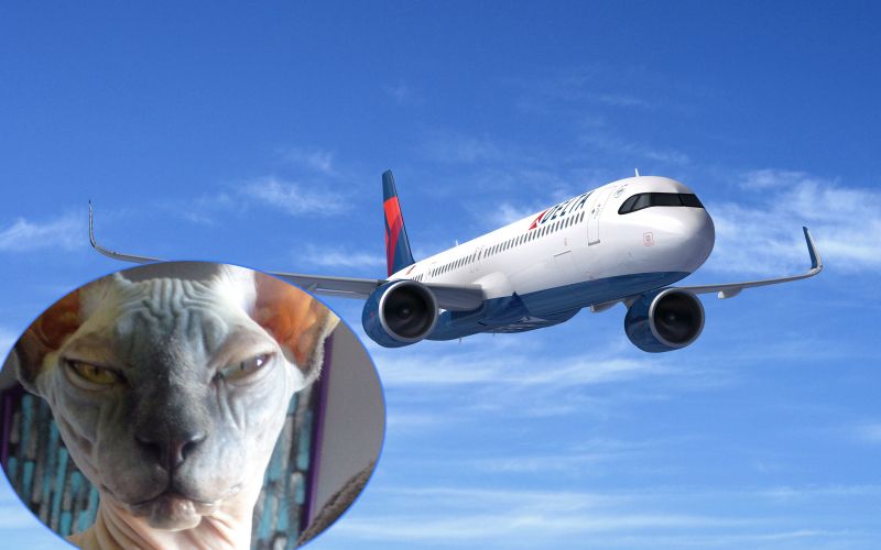 macka avion2.jpg