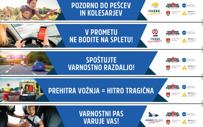 transparenti MOL.png