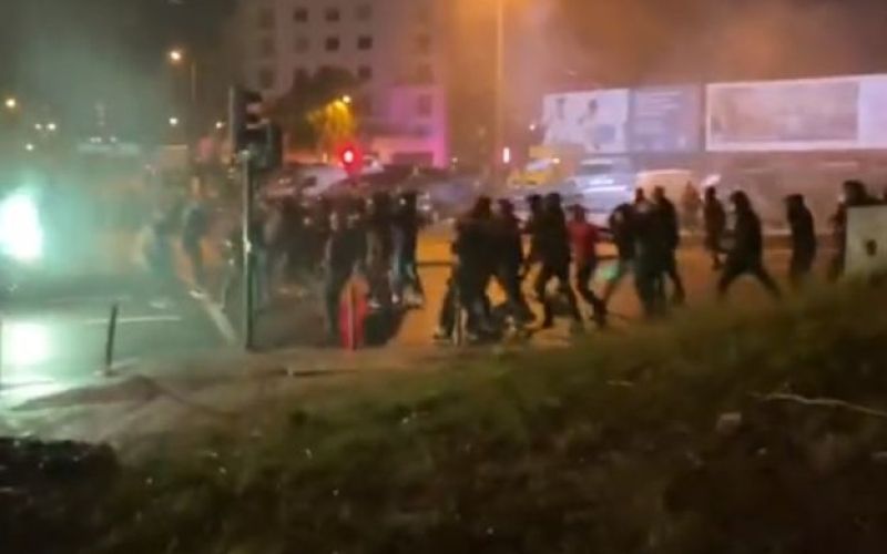 benfica dinamo.jpg
