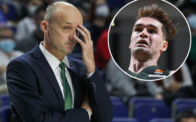 zdovc hezonja.jpg