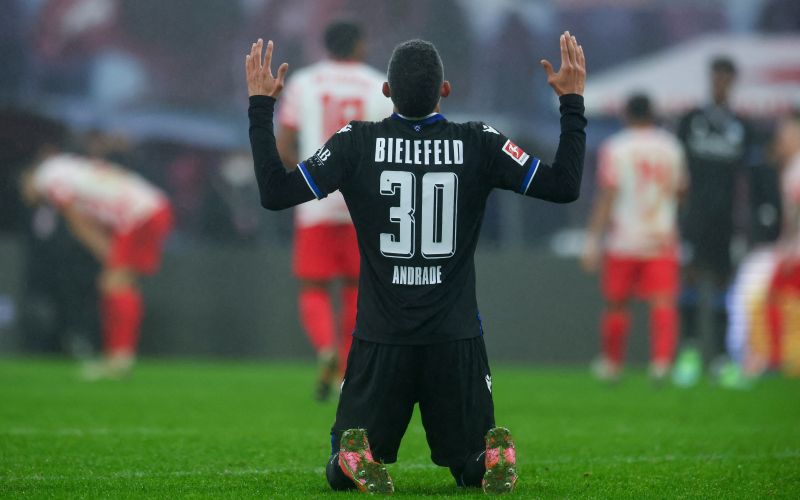arminia.jpg