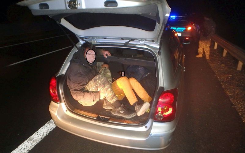 migranti