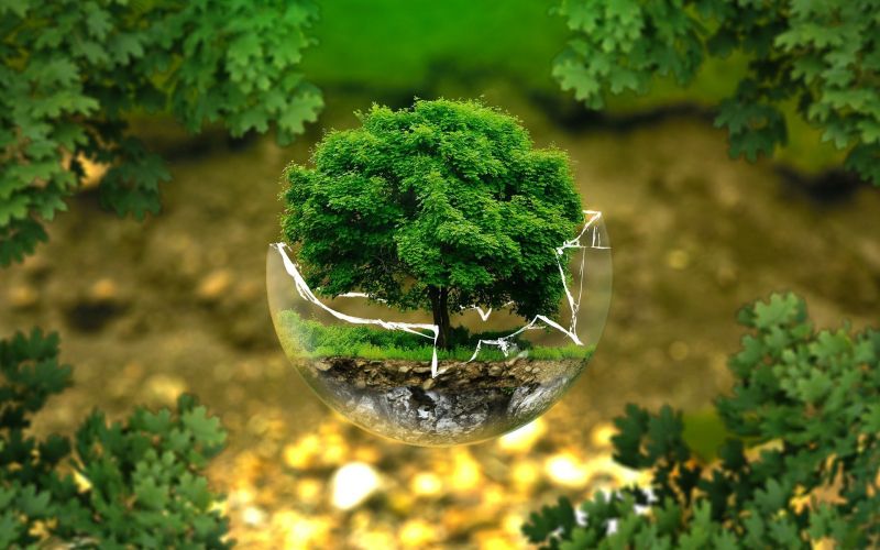 environmental-protection-2.jpg
