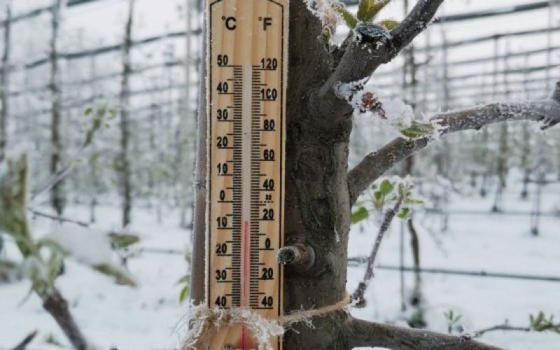 _temp.jpg