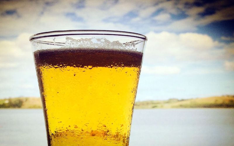 pivo