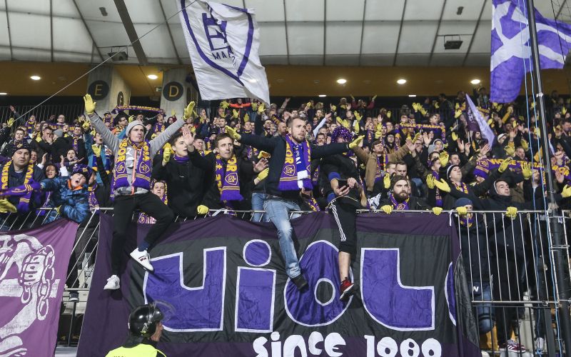 viole.jpg