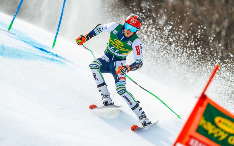 alpski smučar, smučanje, alpsko smučanje, štefan hadalin