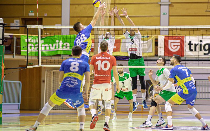 panvita-pomgrad, merkur-maribor