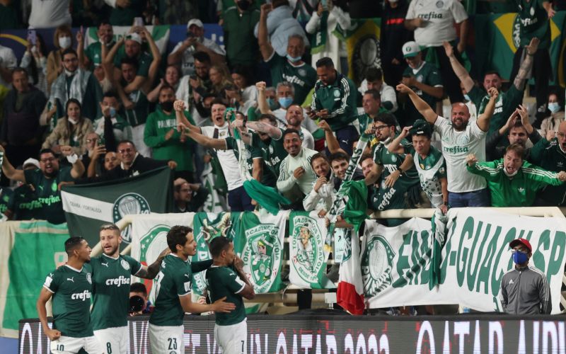 palmeiras re.JPG