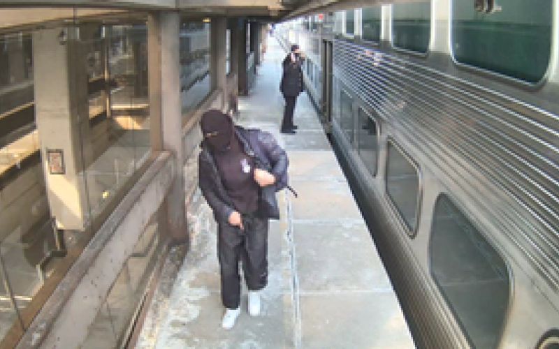 metrapolice.png