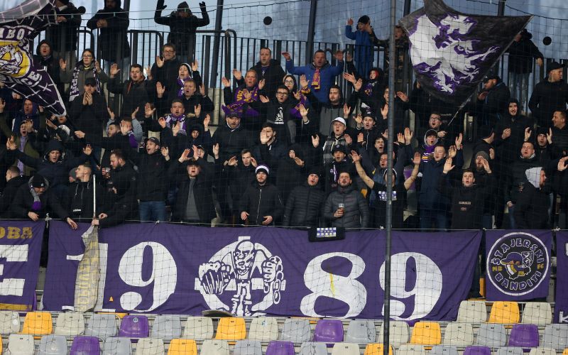 viole.JPG