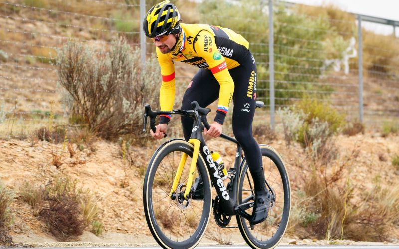 roglic