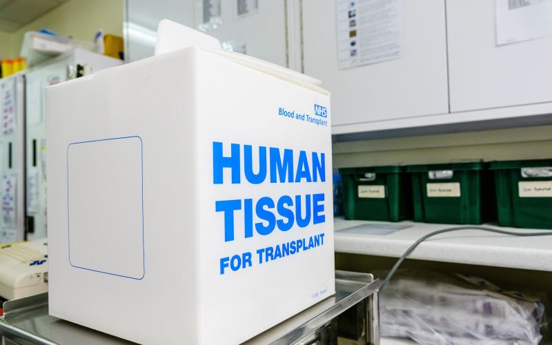 hujman tissue Profimedia.jpg