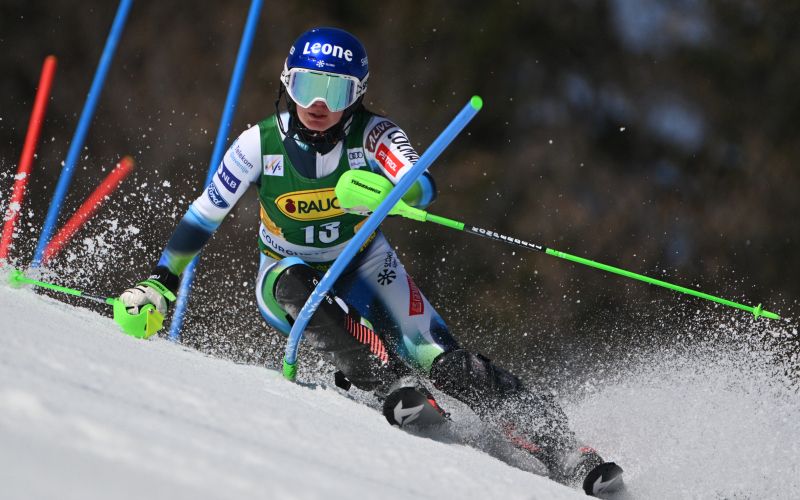 Andreja Slokar.jpg
